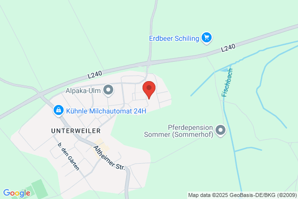 Nomo Group - Schimmelbeseitigung Neu-Ulm