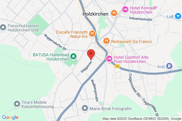Germany Translation Service