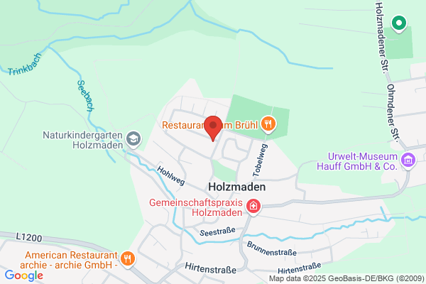 Bücherei Holzmaden