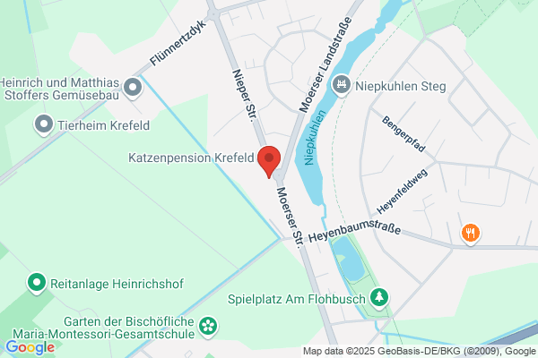 Scholz Business Management