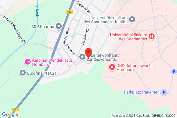 Gartenteichbau und -gestaltung