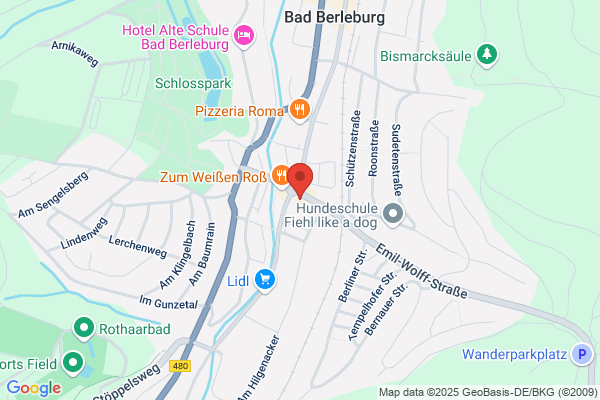 Pizza und Nudelhaus Heimservice