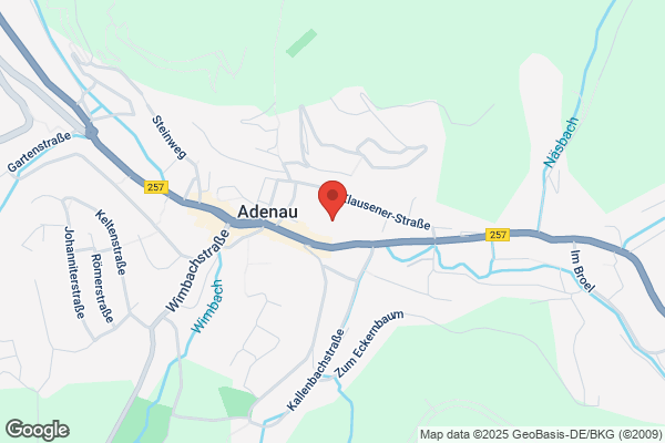 Alt Adenau