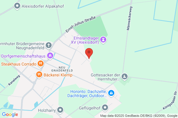 Elektro Alexandrov