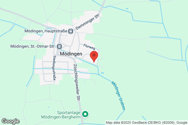 Forstrevier Werbach Sauer Martin