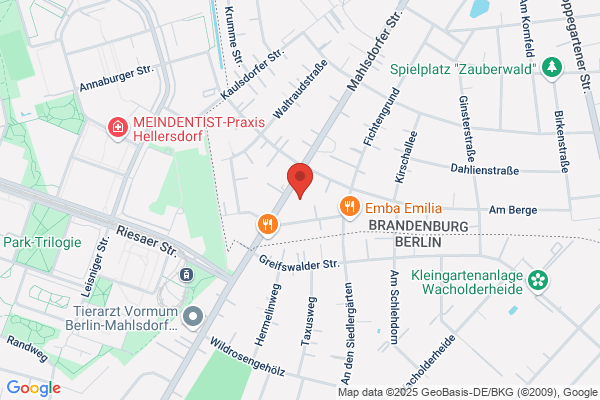 MH Mercatus GmbH