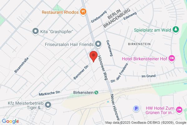 Kita Birkenstein