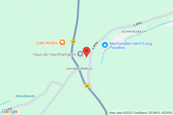 Forstamt Johanniskreuz Herr Ginkel