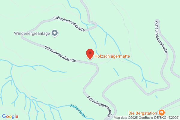 Holzschlägermatte
