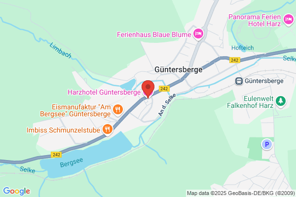 Günter Berg