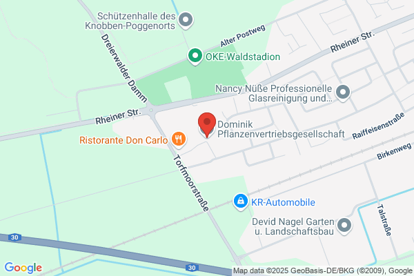 Dominik GmbH & Co Pflanzen- vertriebs KG