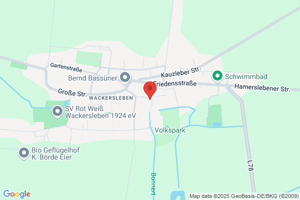FFW OT Wackersleben