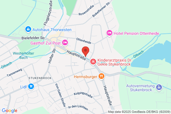 Antpöhler