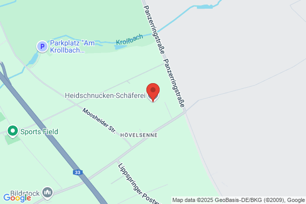 Heidschnuckenschäferei Senne