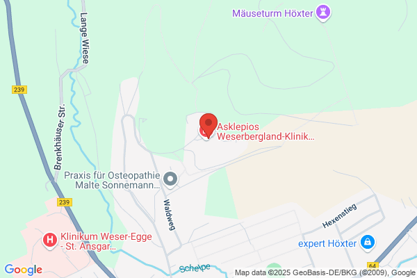 Asklepios Weserbergland-Klinik Höxter - Ergotherapie