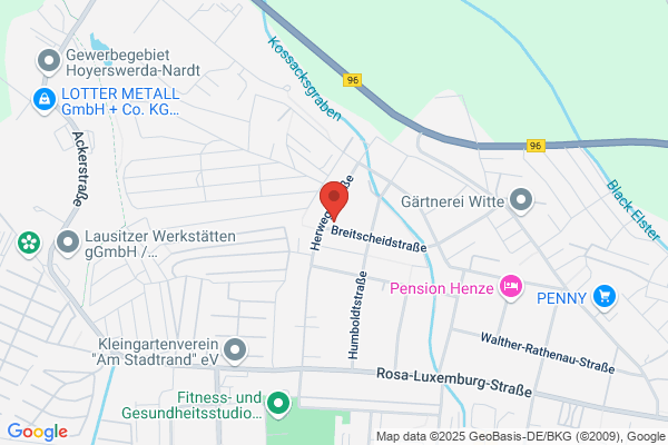 NSS-Netzwerk mit System und Service GmbH