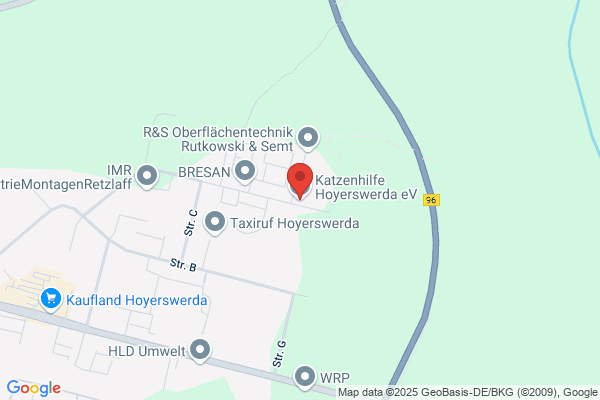 Katzenhilfe Hoyerswerda e.V.