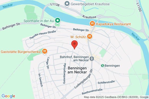 C.M.T. Change Management Team GmbH