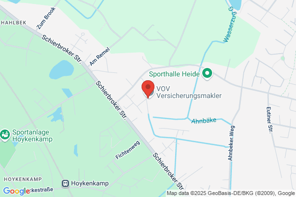 Aale vom Dümmersee