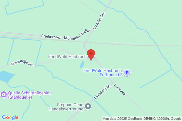 FriedWald Hasbruch