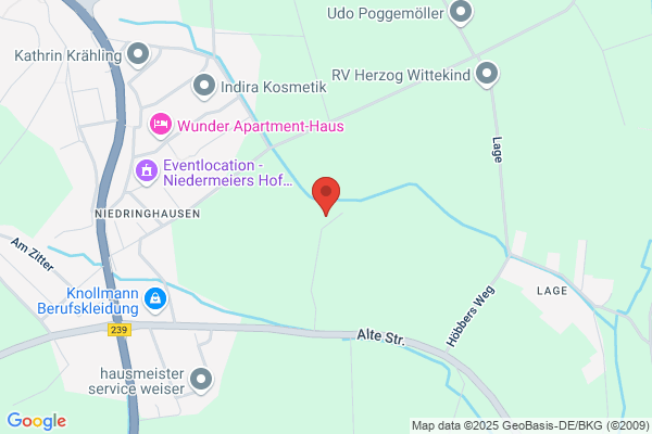 Niedringhaus GmbH & Co. KG