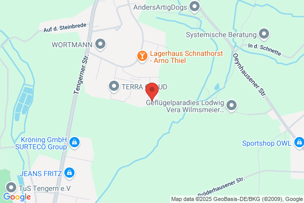 Insedere GmbH