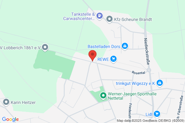Die Fensterputzer