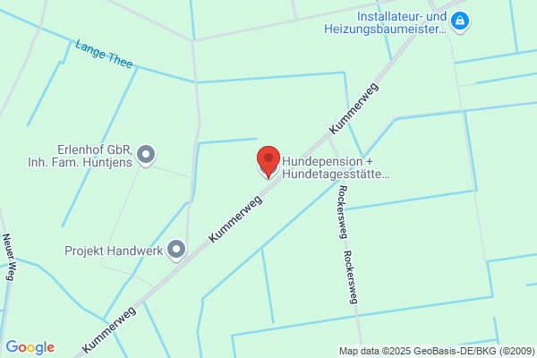 Hundepension DaisyTown