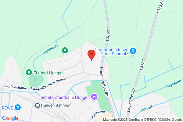 Gesamtschule Hungen