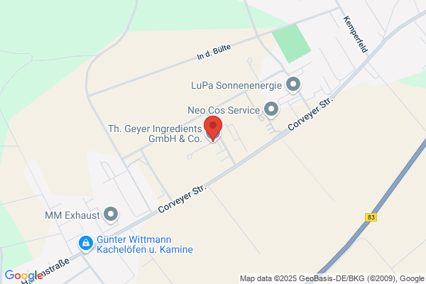 Geyer GmbH & Co., Georg
