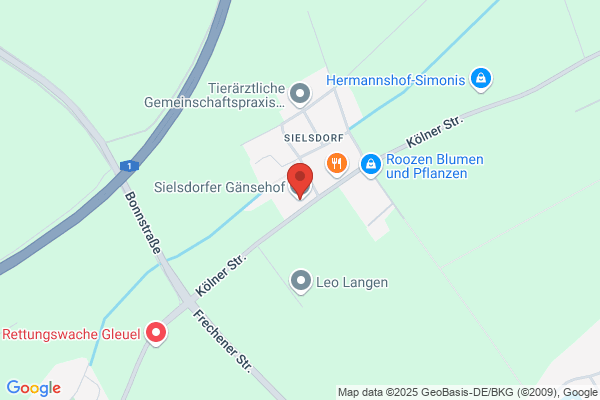 Alt-Sielsdorf