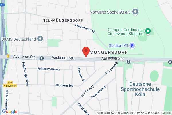 Dürselen Immobilien KG