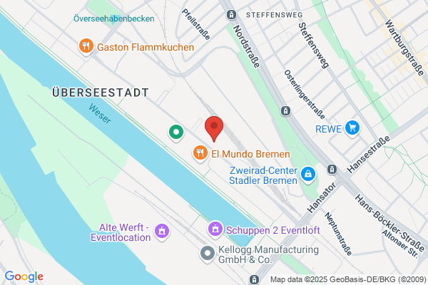 Schornsteinsanierung Domeyer GmbH