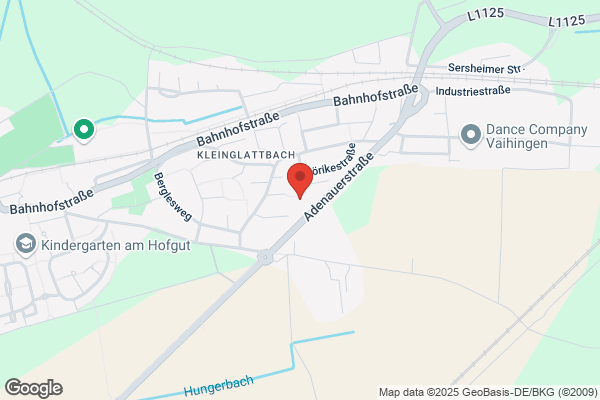 Reinigungsfirma Genevi