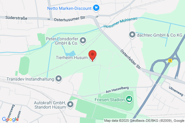 Tierheim des Tierschutzvereins