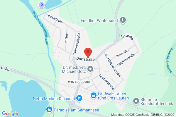 Natürlich Moderne Floristik
