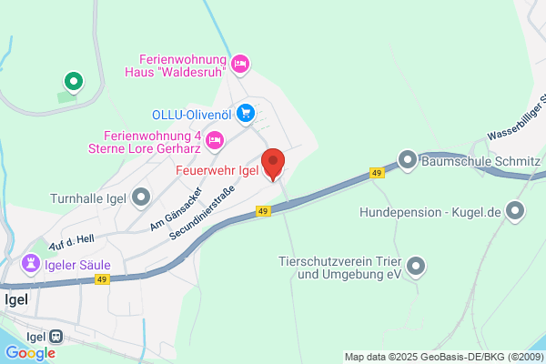 Freiwillige Feuerwehr