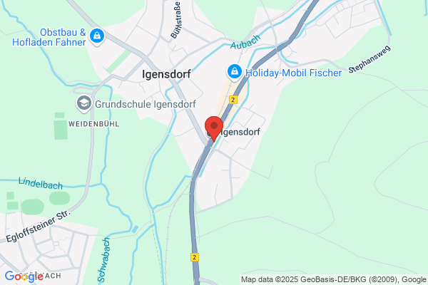 Goldener Adler