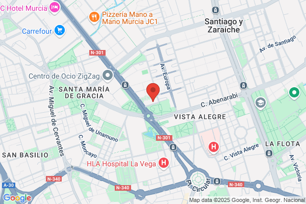 Instituto Fenix