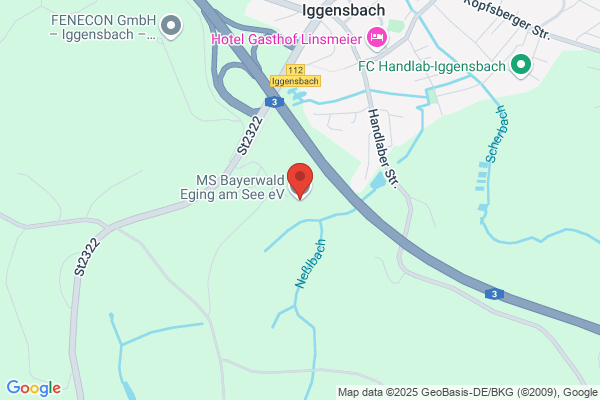 MS Bayerwald Eging am See e.V.