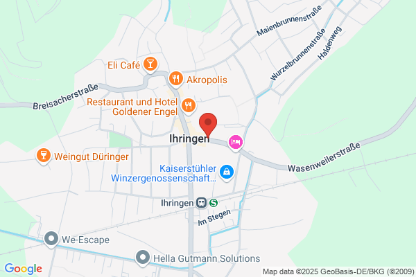 Zupfinstrumentenbau