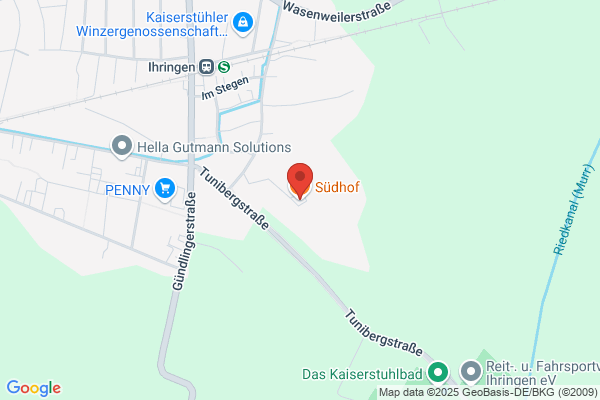 Südhof