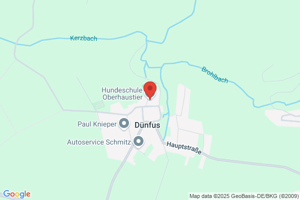 Hundeschule Oberhaustier
