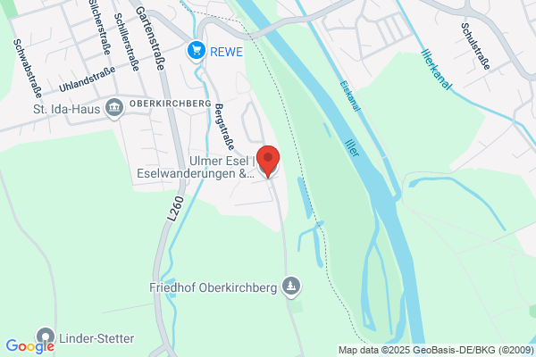 Ulmer Esel | Eselwanderungen & mehr!