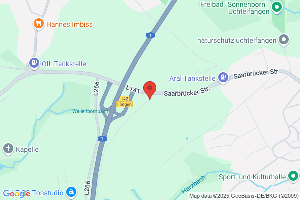 Allee- Manfred Saar