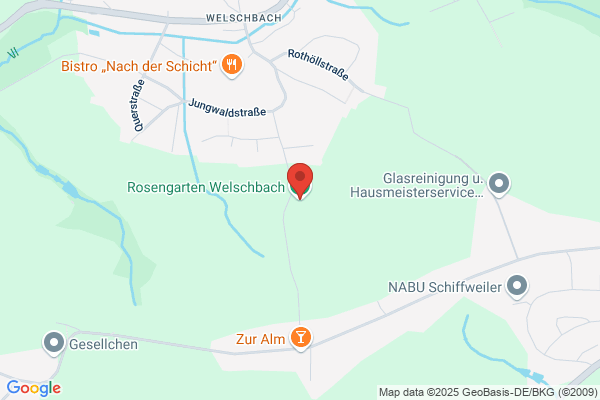 Im Rosengarten