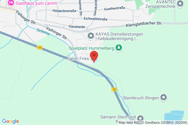 Elke Frieß