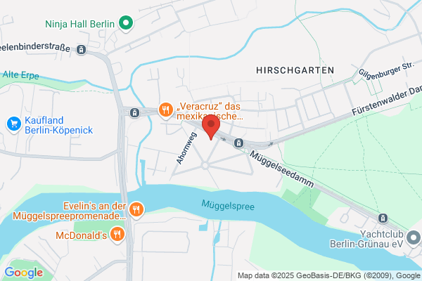 Stubbenfräse-Wurzelentfernung