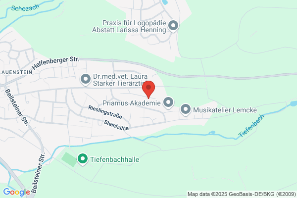 Erdbau Appeltauer GmbH