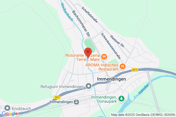 Schlossschule Immendingen